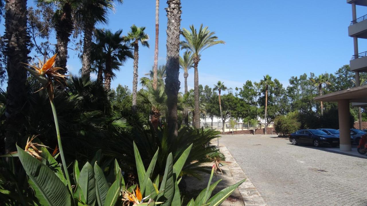 Apartment Beach Front Barracuda Albufeira