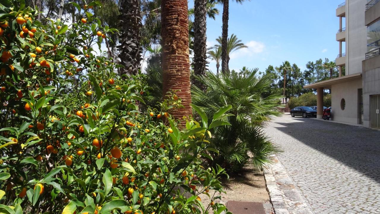 Beach Front Barracuda Apartment Albufeira